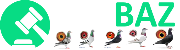 Normal Logo