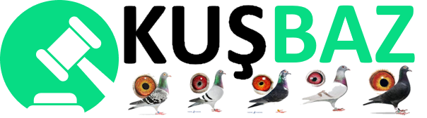 Karanlık Logo