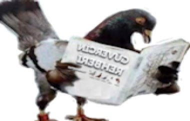 Auction Product